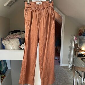 Everlane 00 rich brown easy pant